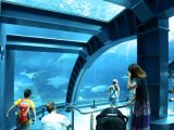ON/OFF « underwater », un film sur l’aquarium de Okinawa.